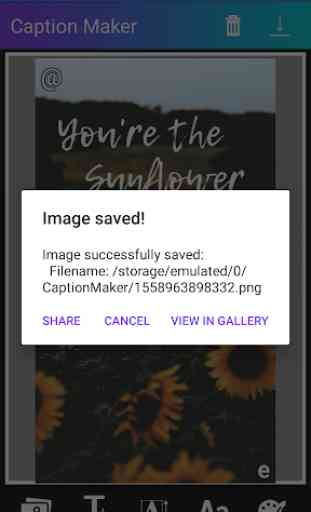 Caption Maker Pro 4
