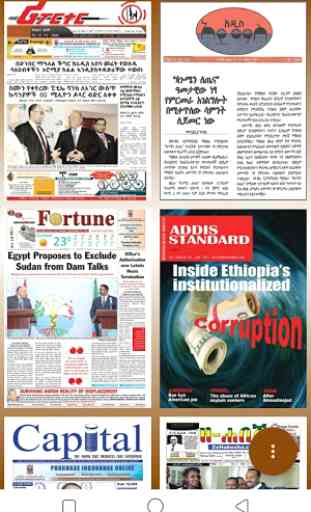 Ethiopian Newspapers 3
