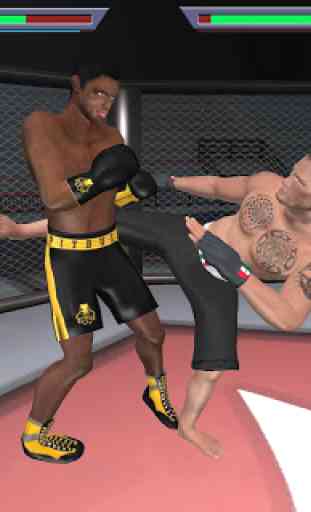 MMA vs Wrestling 3