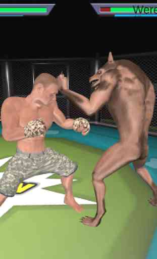 MMA vs Wrestling 4