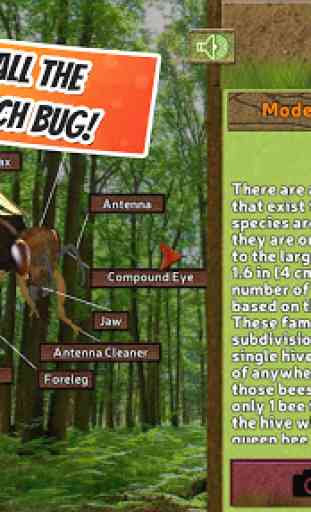 Popar Bugs 3