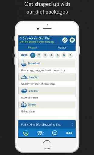 7 Day Atkins Diet Meal Plan 1