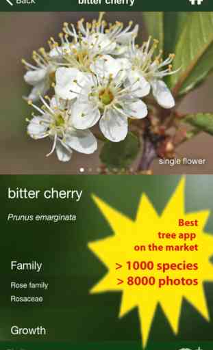Tree Id USA - identify over 1000 of America's native species of Trees, Shrubs and Bushes 2