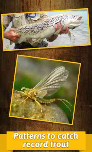 Trout Fly Fishing & Tying Tutorials - Learn How to Tie Flies with Step by Step Patterns 2