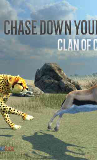 Clan of Cheetahs 1