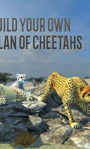 Clan of Cheetahs 3