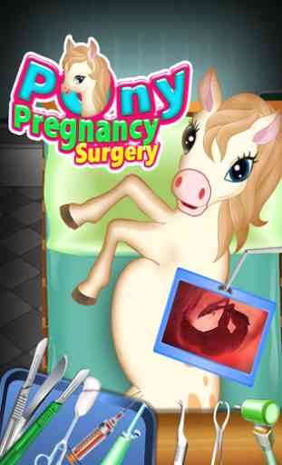 Pony Pregnancy Maternity 1