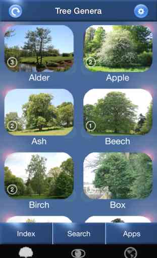 Tree Id - British Tree Identification Guide 1