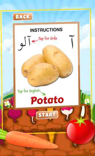 Urdu Qaida Vegetable Learning Urdu - Kids Educational Book 1