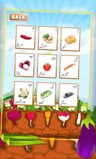 Urdu Qaida Vegetable Learning Urdu - Kids Educational Book 3
