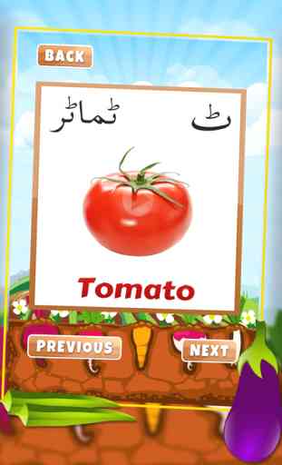 Urdu Qaida Vegetable Learning Urdu - Kids Educational Book 4