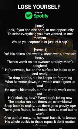 Complete Eminem Song Lyrics 3