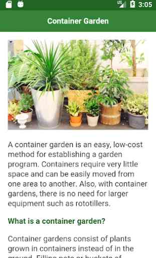 Container Gardening 2