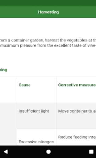 Container Gardening 4
