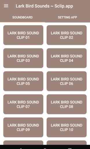 Lark Bird Sound Collections ~ Sclip.app 1