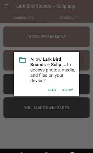 Lark Bird Sound Collections ~ Sclip.app 2