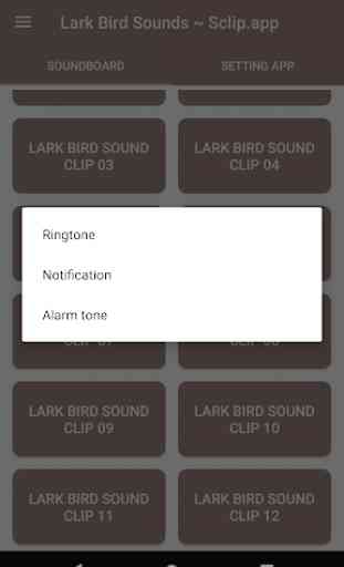 Lark Bird Sound Collections ~ Sclip.app 3
