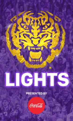 LSU Tiger Lights 2
