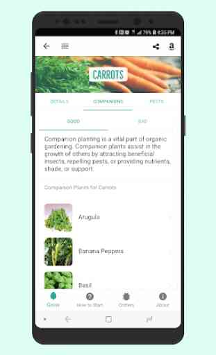 Vegetable, Fruit, & Herb Garden Planning Guides 4