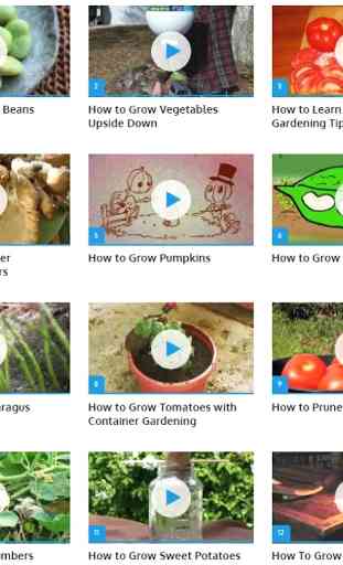 Vegetable Gardening (Guide) 1