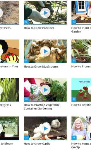Vegetable Gardening (Guide) 2