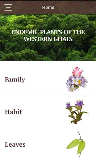 Endemic Plants 1