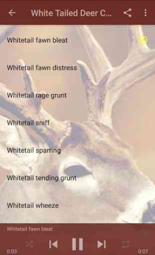 Whitetail Deer Calls That Work 2