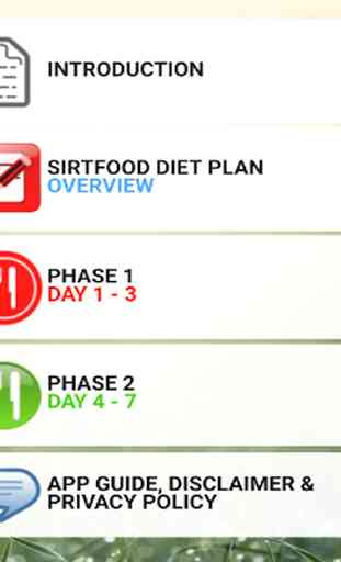 Sirtfood Diet Plan 1