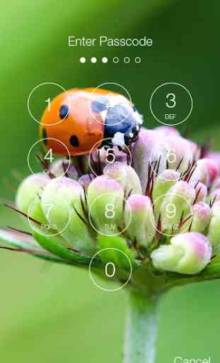 Cute Ladybug Screen Lock 2