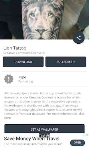 Lion Tattoo Designs 3