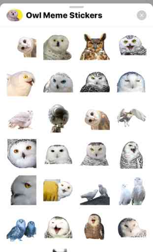 Owl Meme Stickers 2