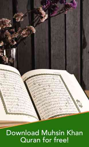 Quran Muhsin Khan 3