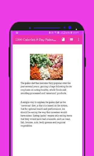 1200 Calories A Day Paleo Diet Meal Plan 4