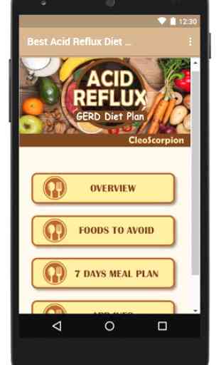 Best Acid Reflux (GERD)  Diet Plan 2