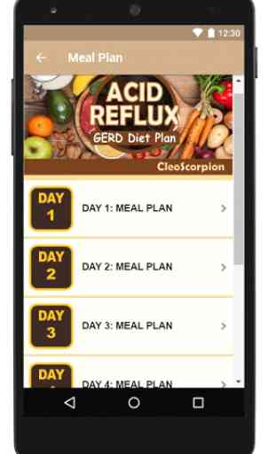 Best Acid Reflux (GERD)  Diet Plan 4