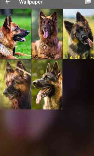 German Shepherd Dog Pattern Lock Screen 4
