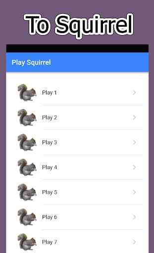 Squirrel Sound 1