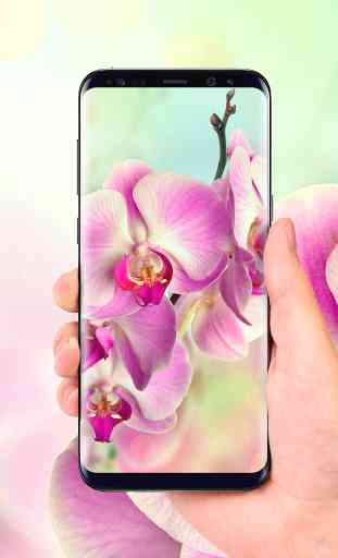 Orchids 3D Free Live Wallpaper 2