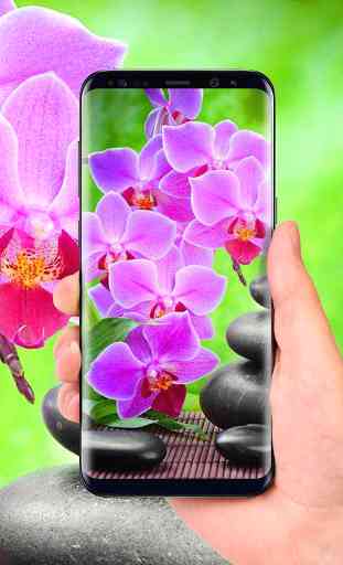 Orchids 3D Free Live Wallpaper 3