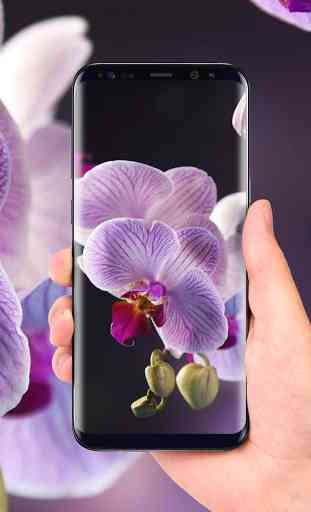 Orchids 3D Free Live Wallpaper 4