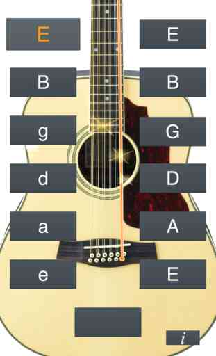 12-String Guitar Tuner Simple 1