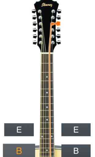 12-String Guitar Tuner Simple 4