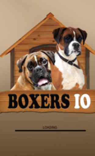 Boxers IO (Opoly) 3