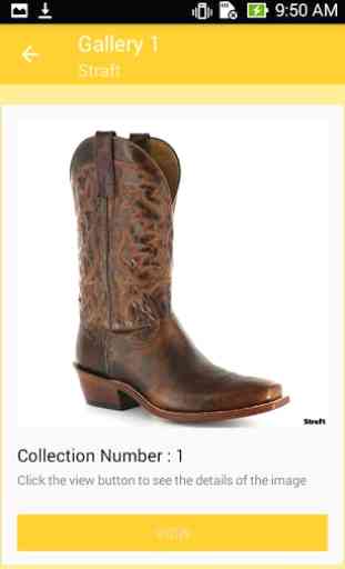 Cowboy Boots Ideas 2