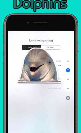 Cute Dolphins 2