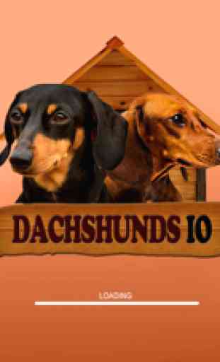 Dachshunds IO (Opoly) 3