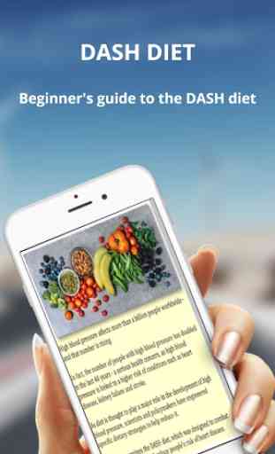 Dash Diet 2