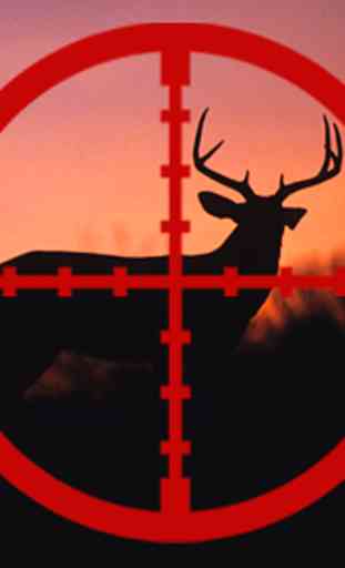 Deer Calls for Hunting & Deer Sounds 1