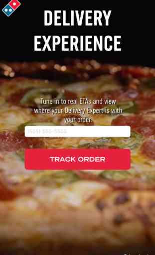 Domino's Delivery Experience 1