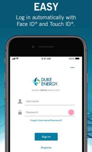 Duke Energy 1
